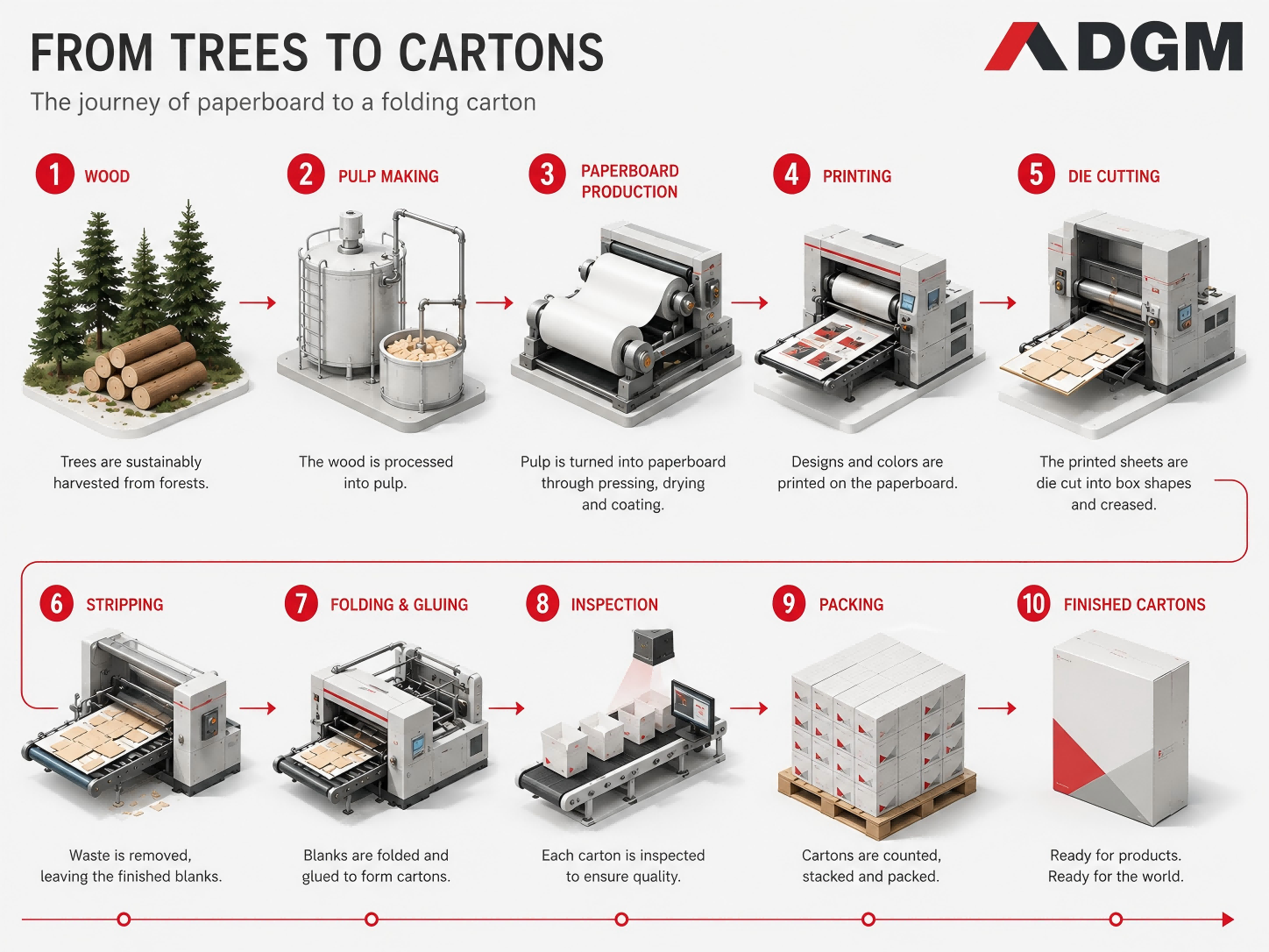 from tree to folding carton(1)